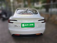 Tesla Model 3 606km Rear-Wheel Drive Edition - фото 3