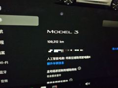 Tesla Model 3 606km Rear-Wheel Drive Edition - фото 8