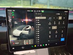 Tesla Model 3 606km Rear-Wheel Drive Edition - фото 9