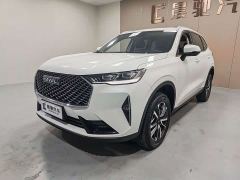 Haval H6 1.5T Two-Wheel Drive Classic Edition - фото 1
