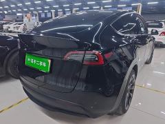 Tesla Model Y Rear-Wheel Drive - ფოტო 6