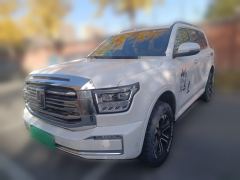 Tank 500 Edition 3.0T Version 5 - ფოტო 1