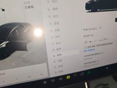 Tesla Model Y Rear-Wheel Drive - ფოტო 11