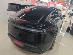 Tesla Model Y Rear-Wheel Drive - ფოტო 6