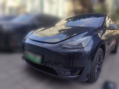 Tesla Model Y Rear-Wheel Drive - photo 1