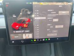 Tesla Model Y Rear-Wheel Drive - ფოტო 18