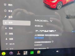 Tesla Model Y Rear-Wheel Drive - ფოტო 4