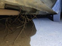 Haval Dargo Big Dog PLUS 1.5T 2WD Tide Wild Edition Plus - photo 10