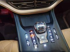 Denza D9 DM-i 970 AWD Flagship - photo 10