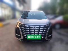 Denza D9 DM-i 970 AWD Flagship - photo 2