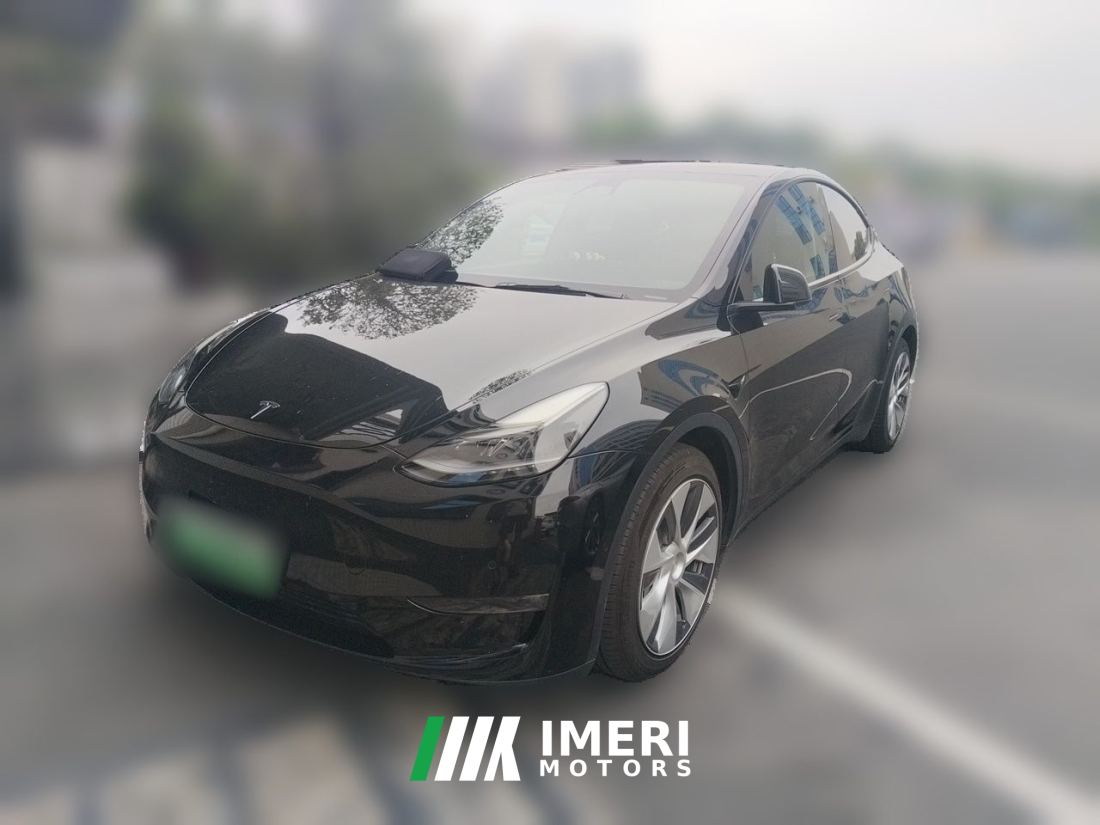 Tesla Model Y Standard endurance rear-wheel drive - car from China