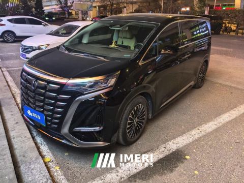 2024 Denza D9 DM-i 1050 Luxury Edition - car from China
