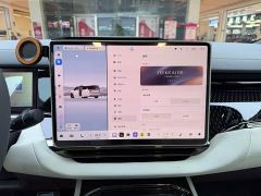 Zeekr 009 Seven-Seat Aisle Version AWD 108kWh - photo 15