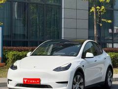 Tesla Model Y Rear-Wheel Drive - ფოტო 1