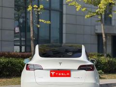 Tesla Model Y Rear-Wheel Drive - ფოტო 11