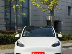 Tesla Model Y Rear-Wheel Drive - ფოტო 2
