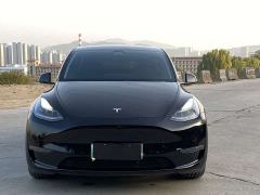 Tesla Model Y Performance All-Wheel Drive - фото 2