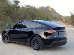 Tesla Model Y Performance All-Wheel Drive - фото 20
