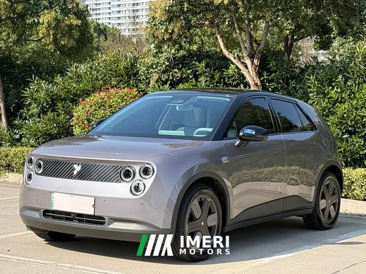 Firefly Luminous Edition - car from China