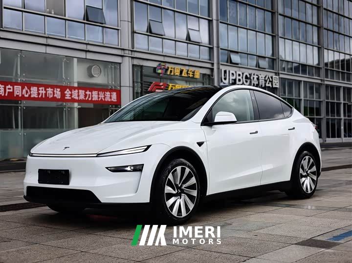 Tesla Model Y Long Range All-Wheel Drive Launch Edition - car from China