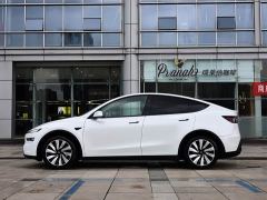 Tesla Model Y Long Range All-Wheel Drive Launch Edition - photo 7