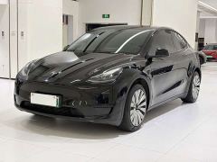 Tesla Model Y Rear-Wheel Drive - фото 1