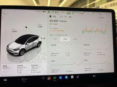 Tesla Model Y Rear-Wheel Drive - фото 8
