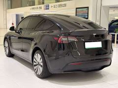 Tesla Model Y Rear-Wheel Drive - фото 9