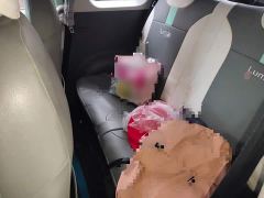 Changan Lumin 155km Sweet Edition - ფოტო 13