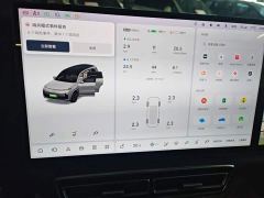 Li Auto L9 Max - ფოტო 11