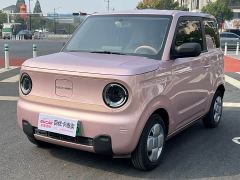 Geely Panda Mini 210km Vitality Edition - ფოტო 1