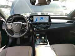 Lexus ES 300h Excellence Edition - ფოტო 9