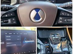 Denza D9 DM-i 980 Four-Wheel Drive Premium - фото 7