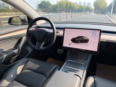 Tesla Model 3 Performance All-Wheel Drive - ფოტო 5