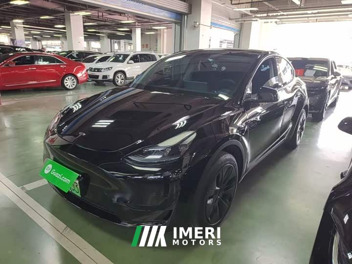 Tesla Model Y Rear-Wheel Drive - car from China