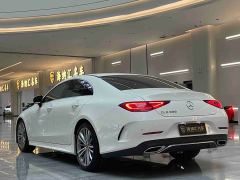 Mercedes-Benz CLS 300 Dynamic - ფოტო 3