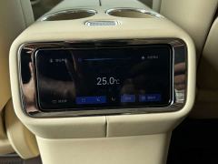 Luxeed Zhiji V9 Max - ფოტო 13