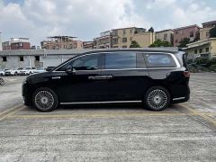 Luxeed Zhiji V9 Max - ფოტო 7