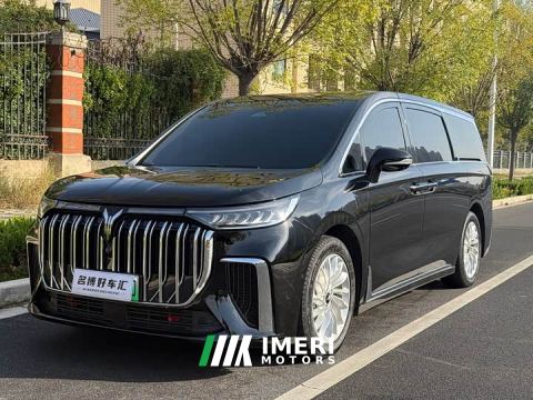 2023 Voyah Dream PHEV Extended Range Luxury Edition