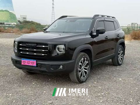2022 Great Wall Dachshund 1.5T DCT Two-Wheel Drive Border Collie Edition