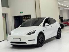 Tesla Model Y Long Range All-Wheel Drive - ფოტო 1