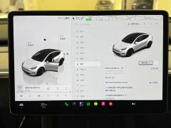 Tesla Model Y Long Range All-Wheel Drive - ფოტო 12
