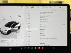 Tesla Model Y Long Range All-Wheel Drive - ფოტო 13