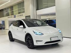 Tesla Model Y Long Range All-Wheel Drive - ფოტო 18