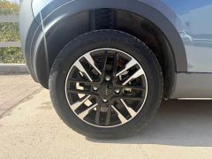 Chery Ant 251km True Love Edition LFP Battery - photo 5