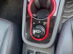 Chery Ant 251km True Love Edition LFP Battery - photo 6