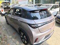 BYD Dolphin 401km Knight Edition - ფოტო 4