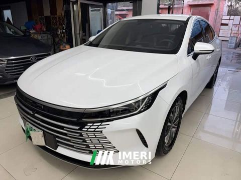 2024 BYD Destroyer 05 Glory Edition DM-i 55KM Luxury