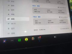 Tesla Model 3 High-Performance AWD Version - ფოტო 11