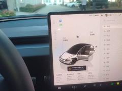 Tesla Model 3 High-Performance AWD Version - ფოტო 13